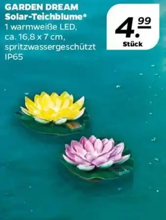 NETTO GARDEN DREAM Solar-Teichblume Angebot