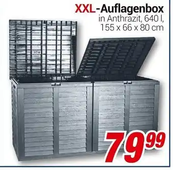 CENTERSHOP XXL Auflagenbox Angebot