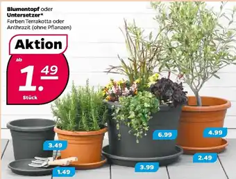 NETTO Blumentopf oder Untersetzer Angebot