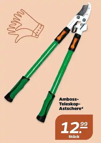 NETTO Amboss Teleskop Astschere Angebot