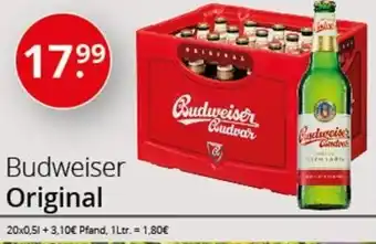 Sagasser Budweiser Original 20x0,5 L Angebot