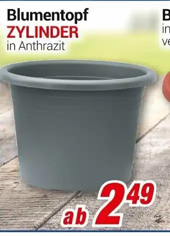 CENTERSHOP Blumentopf Zylinder Angebot