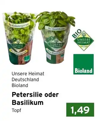 CAP Markt Petersilie oder Basilikum Angebot