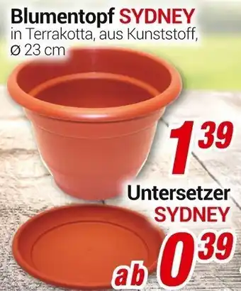 CENTERSHOP Blumentopf Sydney oder Untersetzer Sydney Angebot