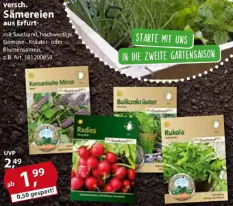 Sonderpreis Baumarkt versch. Sämereien aus Erfurt Angebot