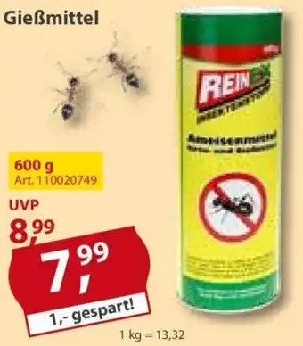 Sonderpreis Baumarkt Reinex Ameisenmittel Streu- und Gießmittel 600 g Angebot