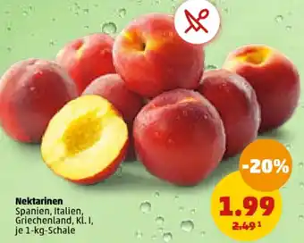 PENNY Nektarinen 1-kg-Schale Angebot