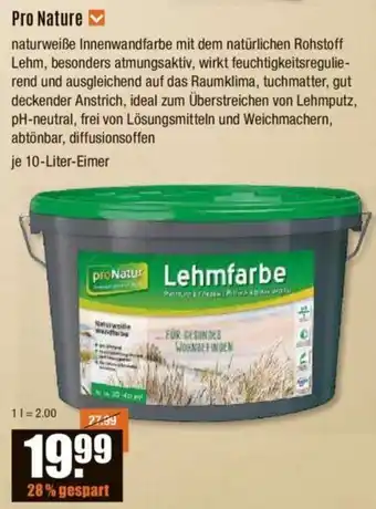 V Baumarkt Pro Nature Lehmfarbe 10-Liter-Eimer Angebot