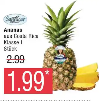 Marktkauf SanLucar Ananas Angebot