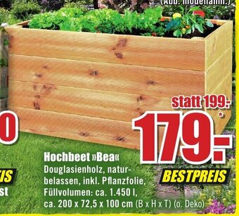 B1 Discount Baumarkt Hochbeet »Bea" Angebot