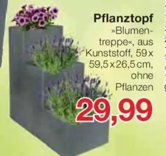 Jawoll Pflanztopf 59x 59,5x26,5 cm, Angebot