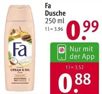 Rossmann Fa Dusche 250 ml Angebot