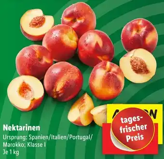 Lidl Nektarinen 1 kg Angebot