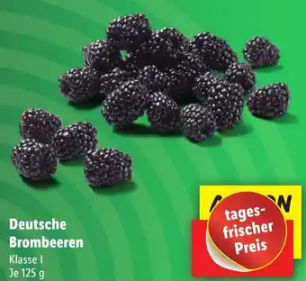 Lidl Deutsche Brombeeren 125 g Angebot