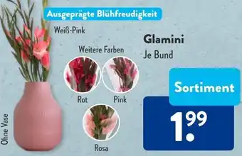 Aldi Süd Glamini Angebot