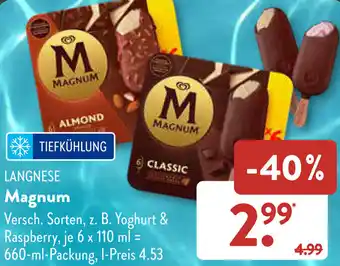 Aldi Süd LANGNESE Magnum 660 ml Packung Angebot