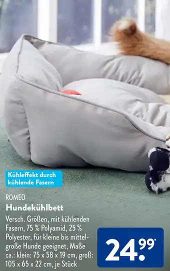 Aldi Süd ROMEO Hundekühlbett Angebot