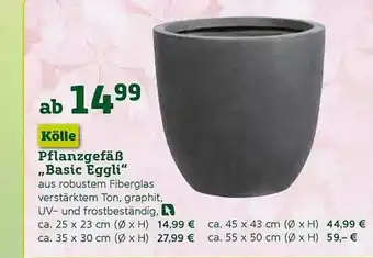 Pflanzen Kölle Pflanzgefäß „basic Eggli” Angebot