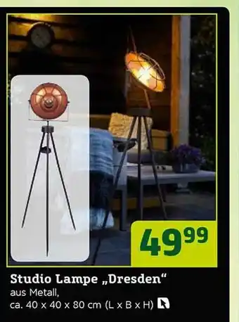 Pflanzen Kölle Studio Lampe „dresden” Angebot