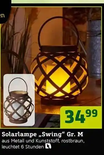 Pflanzen Kölle Solarlampe „swing” Angebot