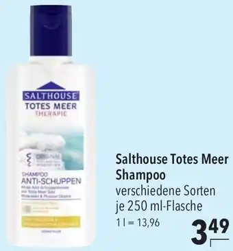 CITTI Markt Salthouse Totes Meer Shampoo 250 ml Flasche Angebot