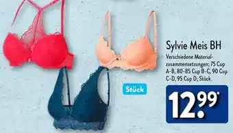 Aldi Nord Sylvie Meis BH Angebot