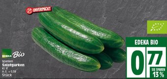 Elli Markt EDEKA BIO Salatgurken Angebot