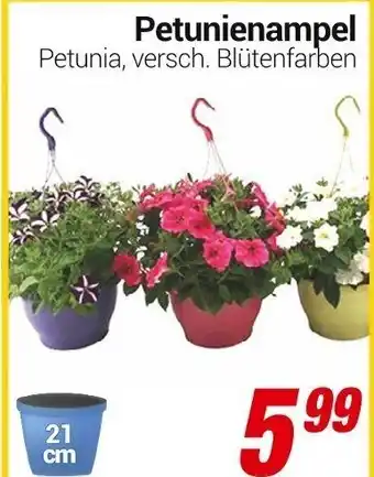 CENTERSHOP Petunienampel Angebot