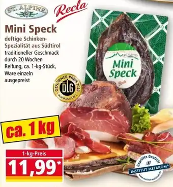 Norma ST. ALPINE Recla/Recla Mini Speck ca. 1 kg Angebot