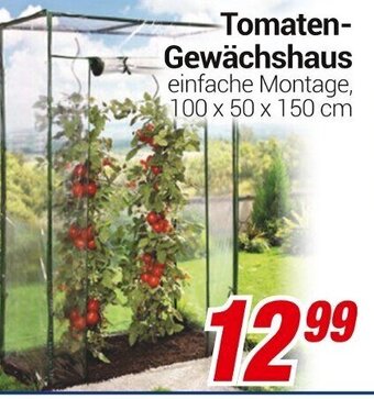 CENTERSHOP Tomaten Gewächshaus Angebot