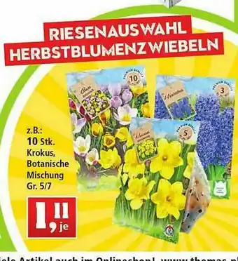 Thomas Philipps 10 Stk. Krokus, Botanische Mischung Angebot