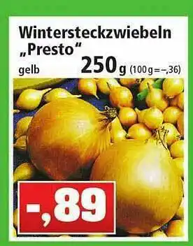 Thomas Philipps Wintersteckzwiebeln „presto” Angebot