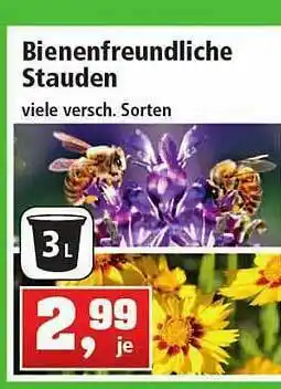 Thomas Philipps Bienenfreundliche Stauden Angebot