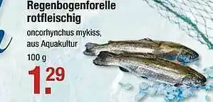 V Markt Regenbogenforelle Rotfleischig Angebot