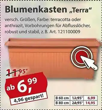 Sonderpreis Baumarkt Blumenkasten „terra” Angebot