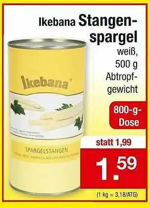 Zimmermann Ikebana Stangen Spargel Angebot