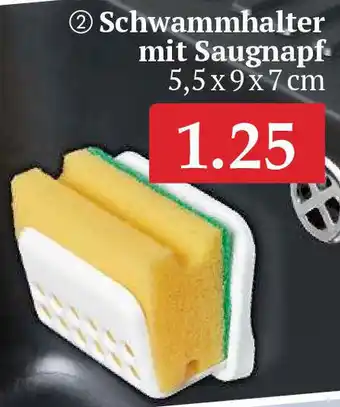 Woolworth Schwammhalter mit Saugnapf Angebot