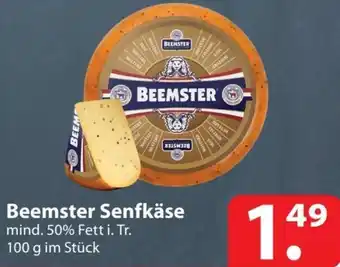 Famila Nord Ost Beemster Senfkäse 100 g Angebot