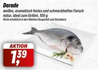 Simmel Dorade 100 g Angebot