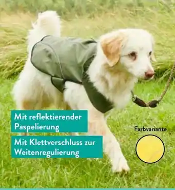 Aldi Nord Hunde Friesennerz Angebot