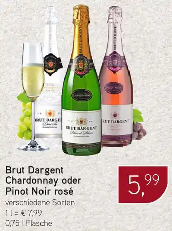 Dornseifer Brut Dargent Chardonnay oder Pinot Noir rosé 0,75 L Flasche Angebot