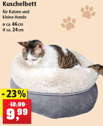 Thomas Philipps Kuschelbett Angebot
