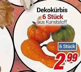 CENTERSHOP Dekokürbis 6 Stück Angebot