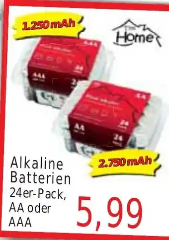 Wiglo Wunderland Tim Home Alkaline Batterien 24er-Pack Angebot