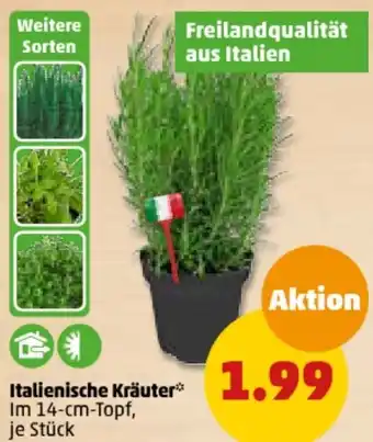 PENNY Italienische Kräuter Angebot