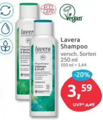 Budni Lavera Shampoo 250ml Angebot