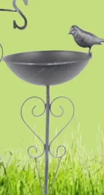 Thomas Philipps Vogeltränke Angebot