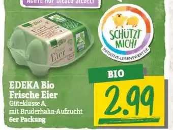 NP Discount Edeka Bio Frische Eier Angebot