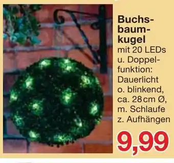 Jawoll Buchsbaumkugel Angebot