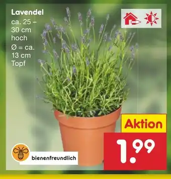 Netto Marken-Discount Lavendel Angebot